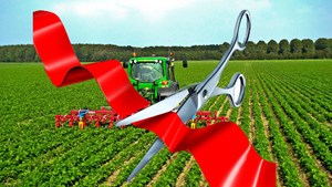 ۳۲۹۴ پروژه با سرمایه‌گذاری ۳۵ همتی در دهه فجر افتتاح می شود