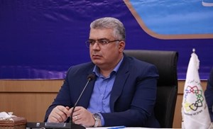استفاده از ارز صادراتی برای واردات تصویب شد