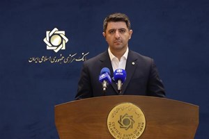 زیان انباشته 65 همتی موسسه اعتباری ملل