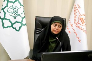 رونمایی از پلتفرم «تاکسی شهر» تا آخر تیرماه/ تاکسیرانان با کمتر از ۲۰۰ میلیون تومان صاحب تاکسی برقی شاسی‌بلند می‌شوند