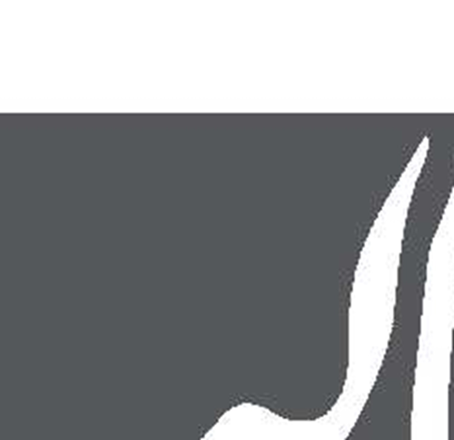سازمان ملل تماشاچی  مرگ انسانیت 