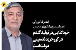 خودکفایی در تولید گندم در گرو خرید تضمینی دولت است