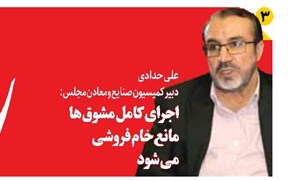 اجرای کامل مشوقها مانع خامفروشی میشود