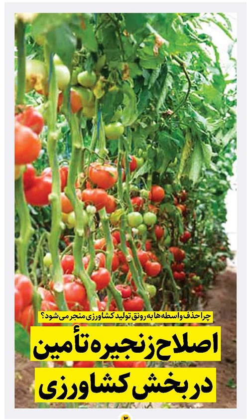 اصلاح زنجیره تأمین در بخش کشاورزی