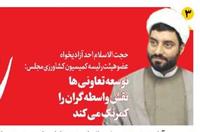 توسعه تعاونیها نقش واسطهگران را کمرنگ میکند