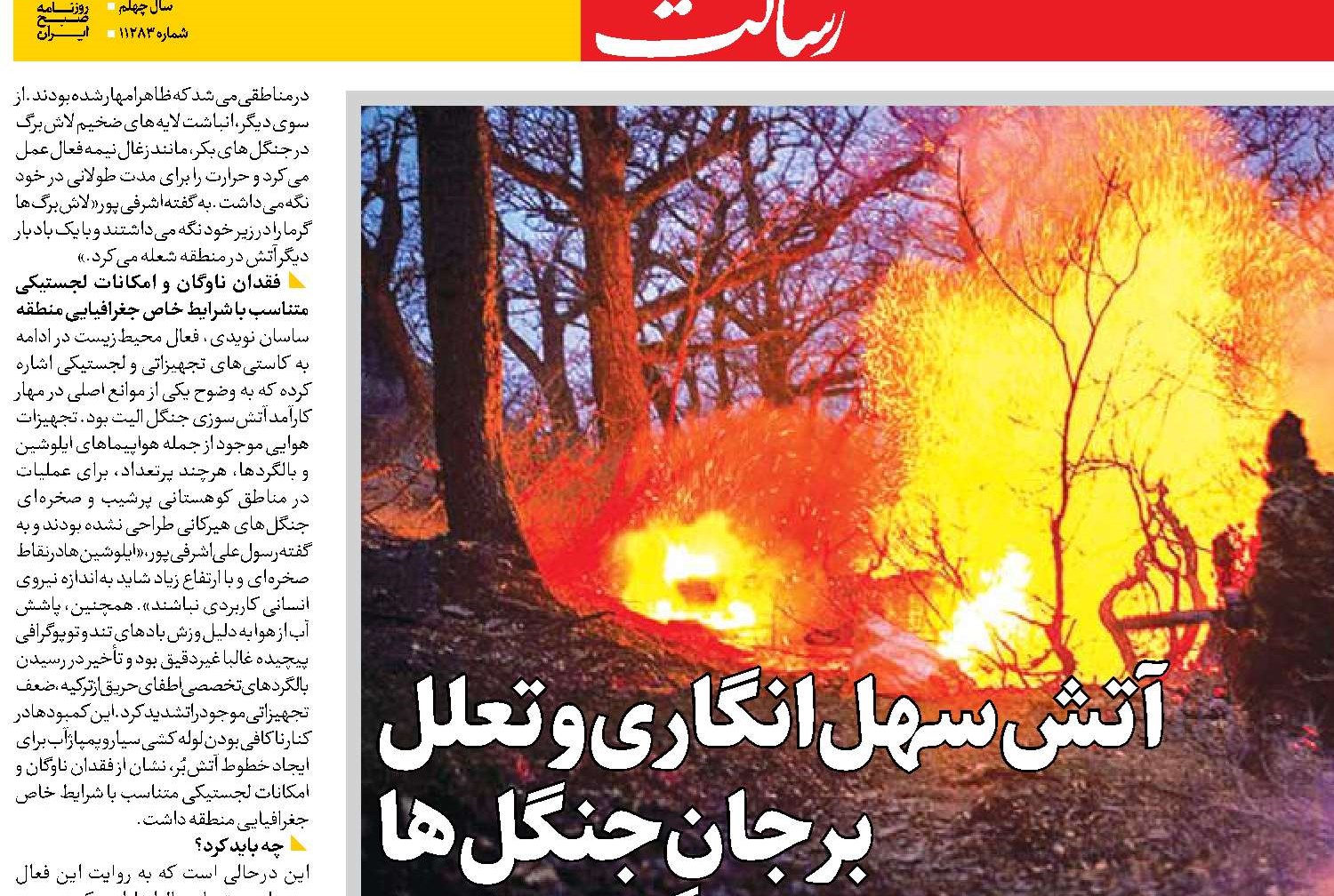 آتش سهل‌انگاری و تعلل  برجانِ جنگل‌ها