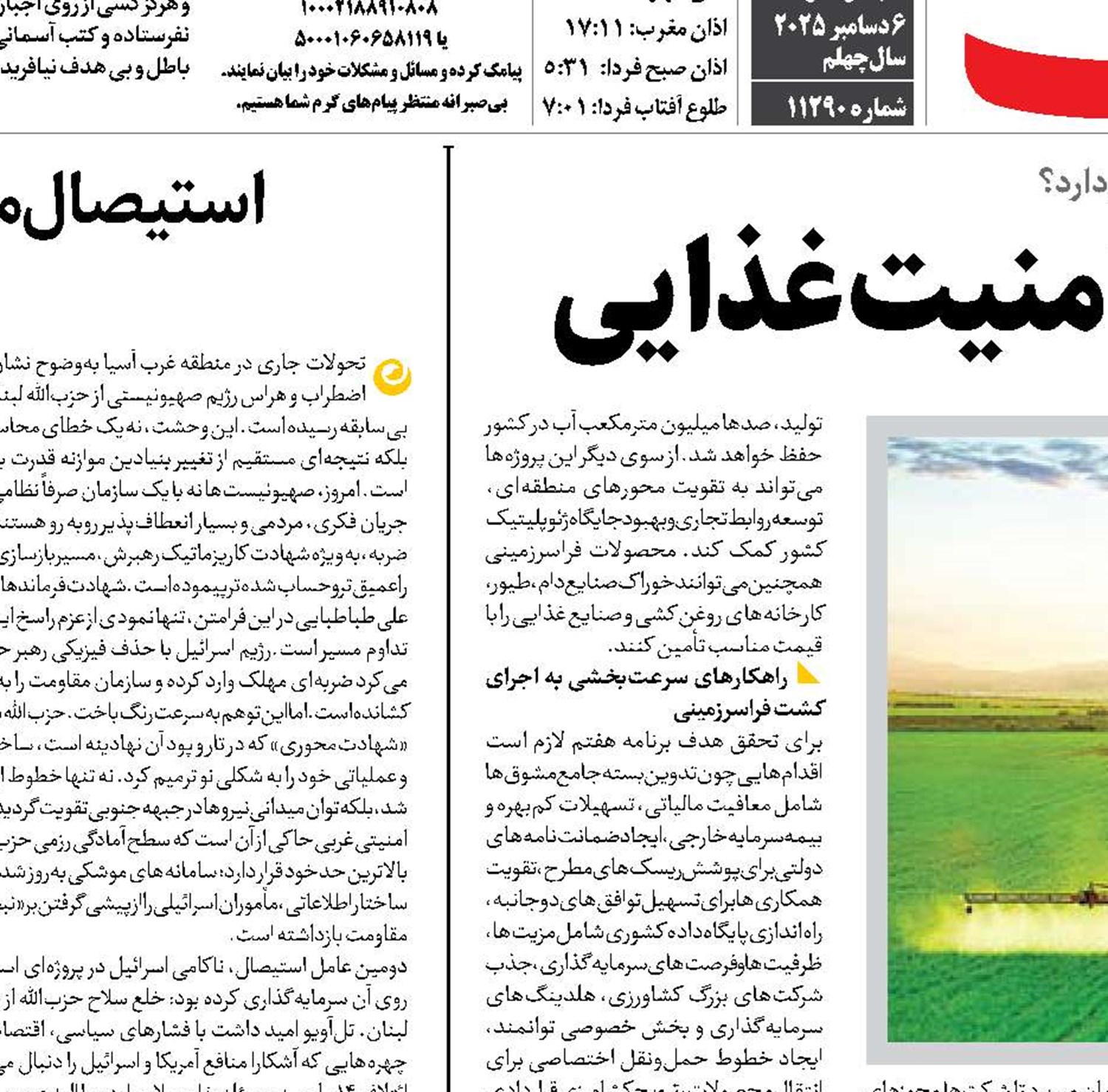  «کشت برون‌مرزی» سپر امنیت غذایی