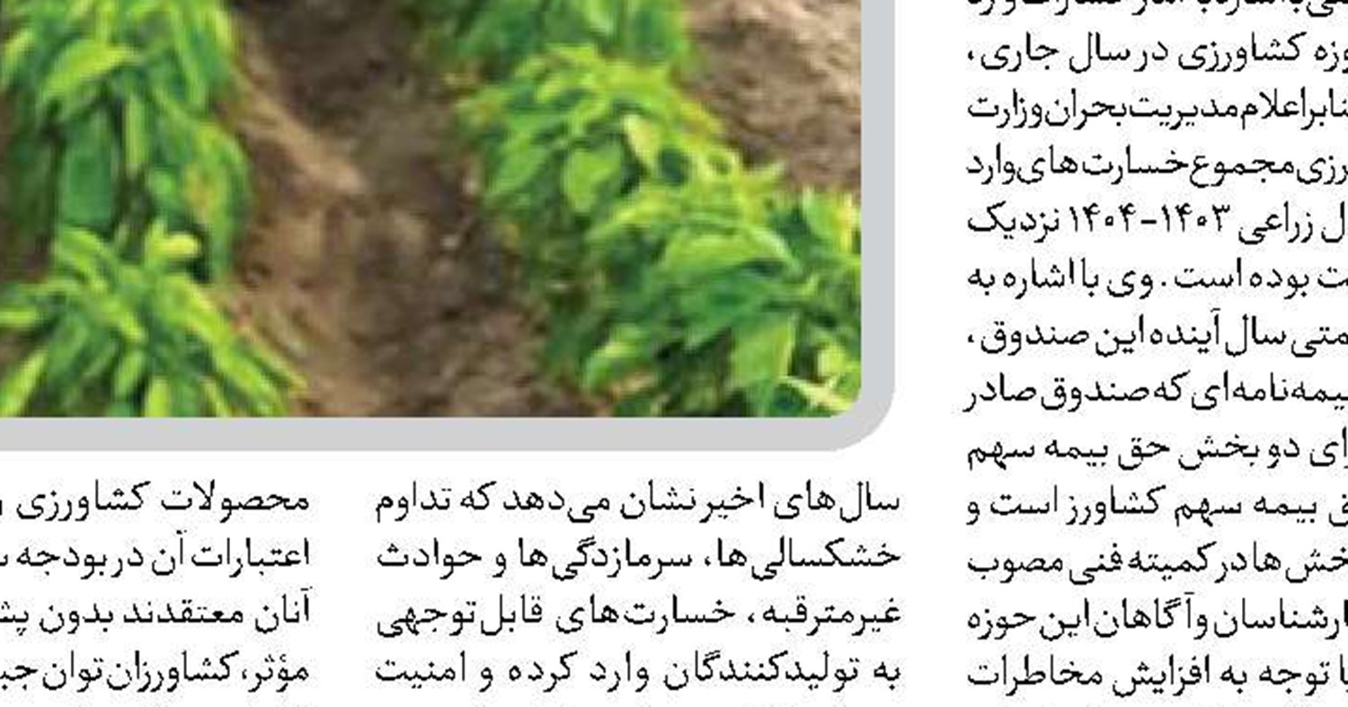  تکرار سقف ۱۲ همتی بیمه کشاورزی در بودجه ۱۴۰۵ قابل قبول نیست