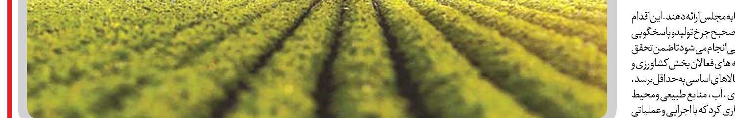  نظارت بر امنیت غذایی توسط کارگروه‌های تخصصی مجلس صورت می‌گیرد